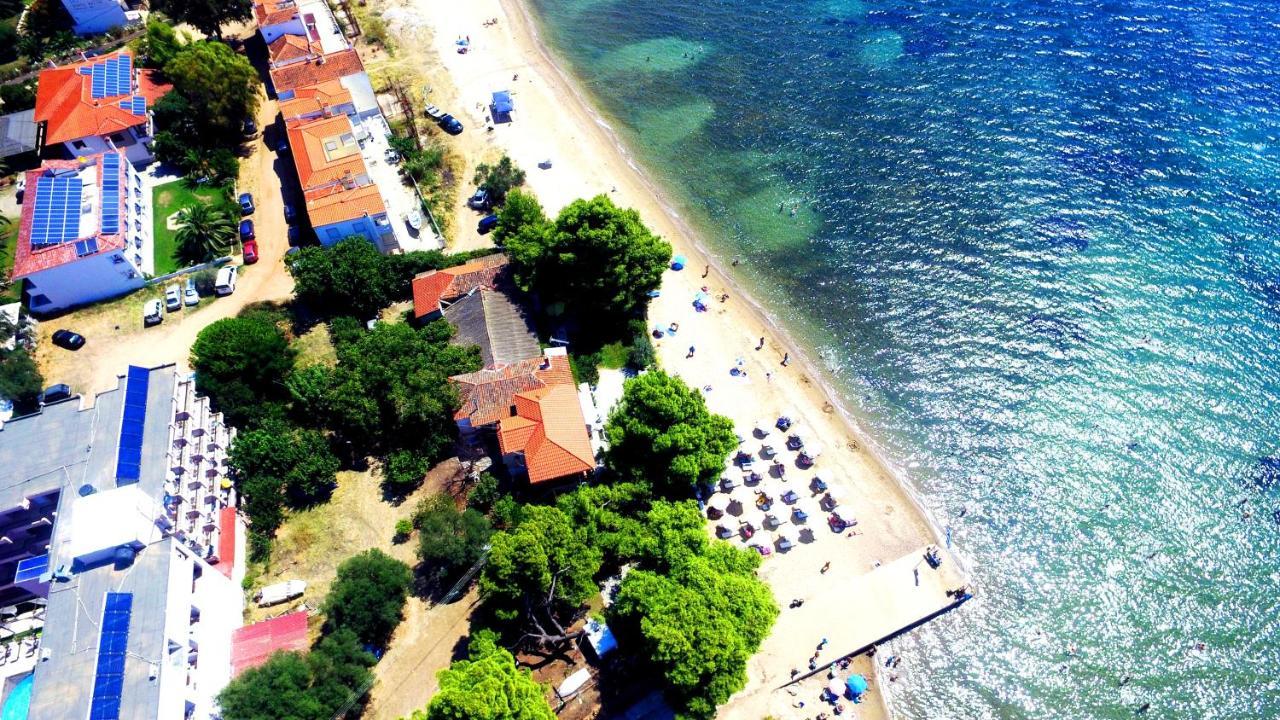 Golden Hotel 3*