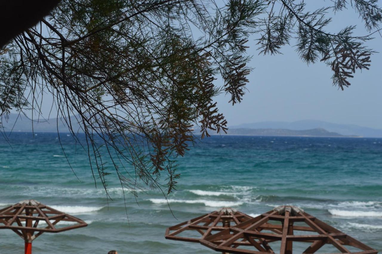 Suites Tilemachos Luxury Athens