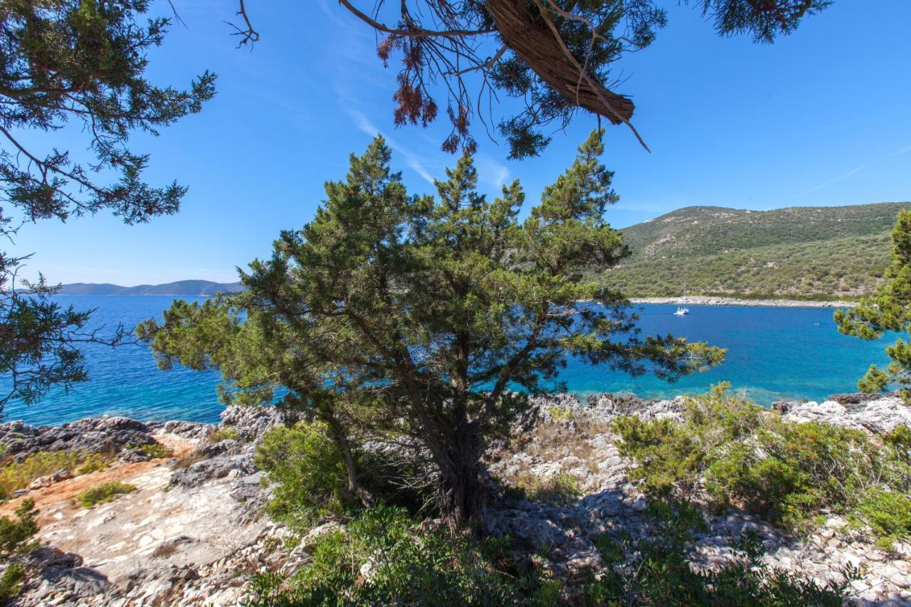 Alma Lefkada- Sea Front