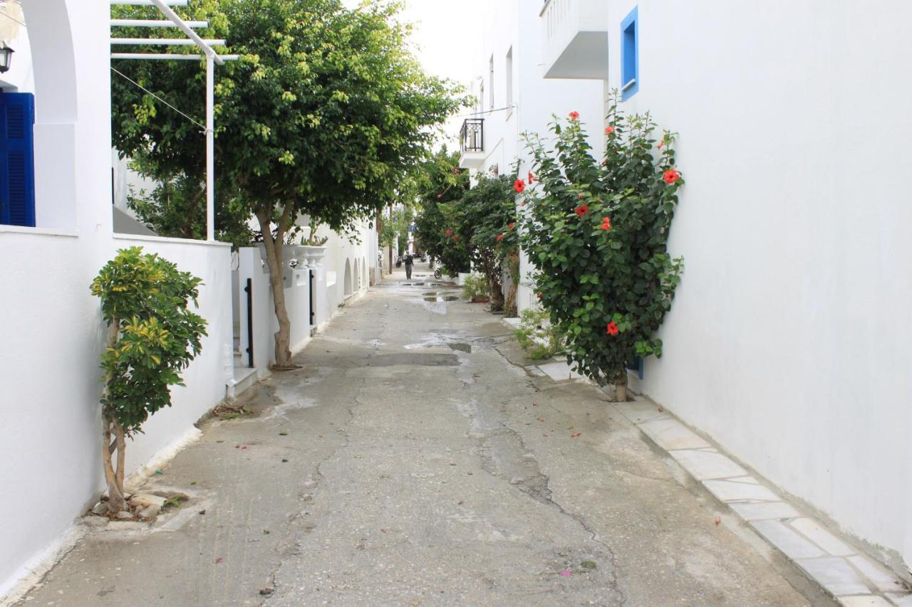 Vasilikos Naxos City