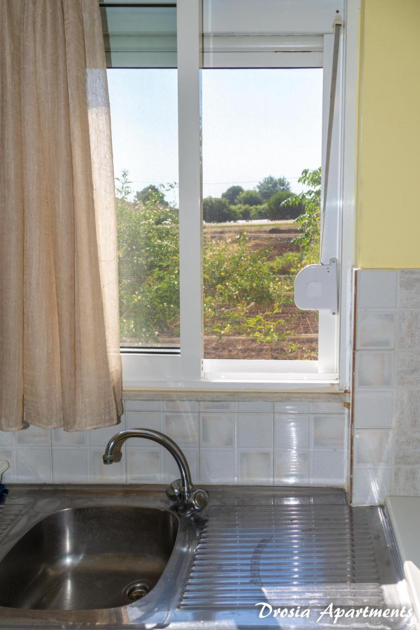 Drosia Apartment *