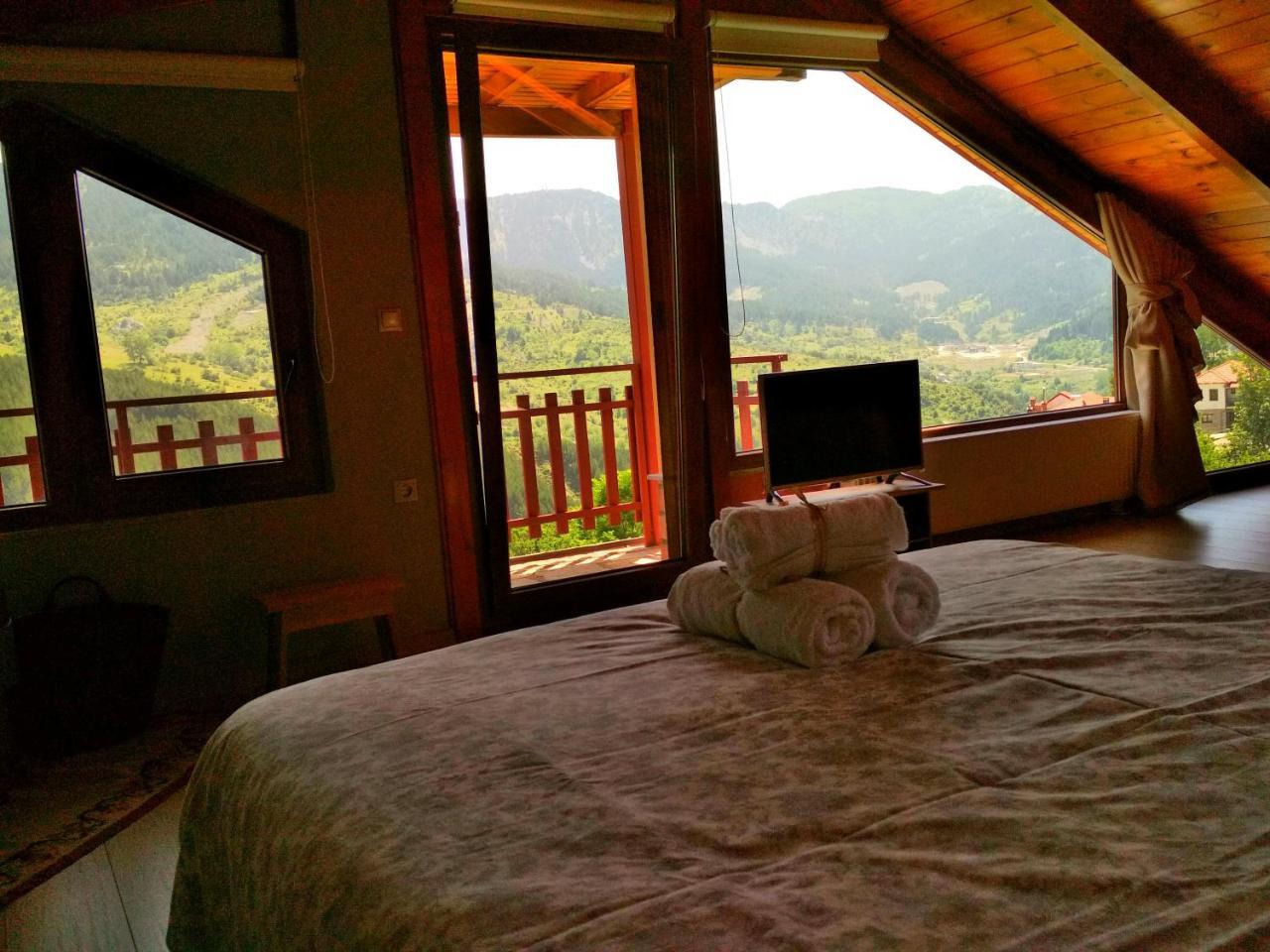 Oresivio Apartment Metsovo