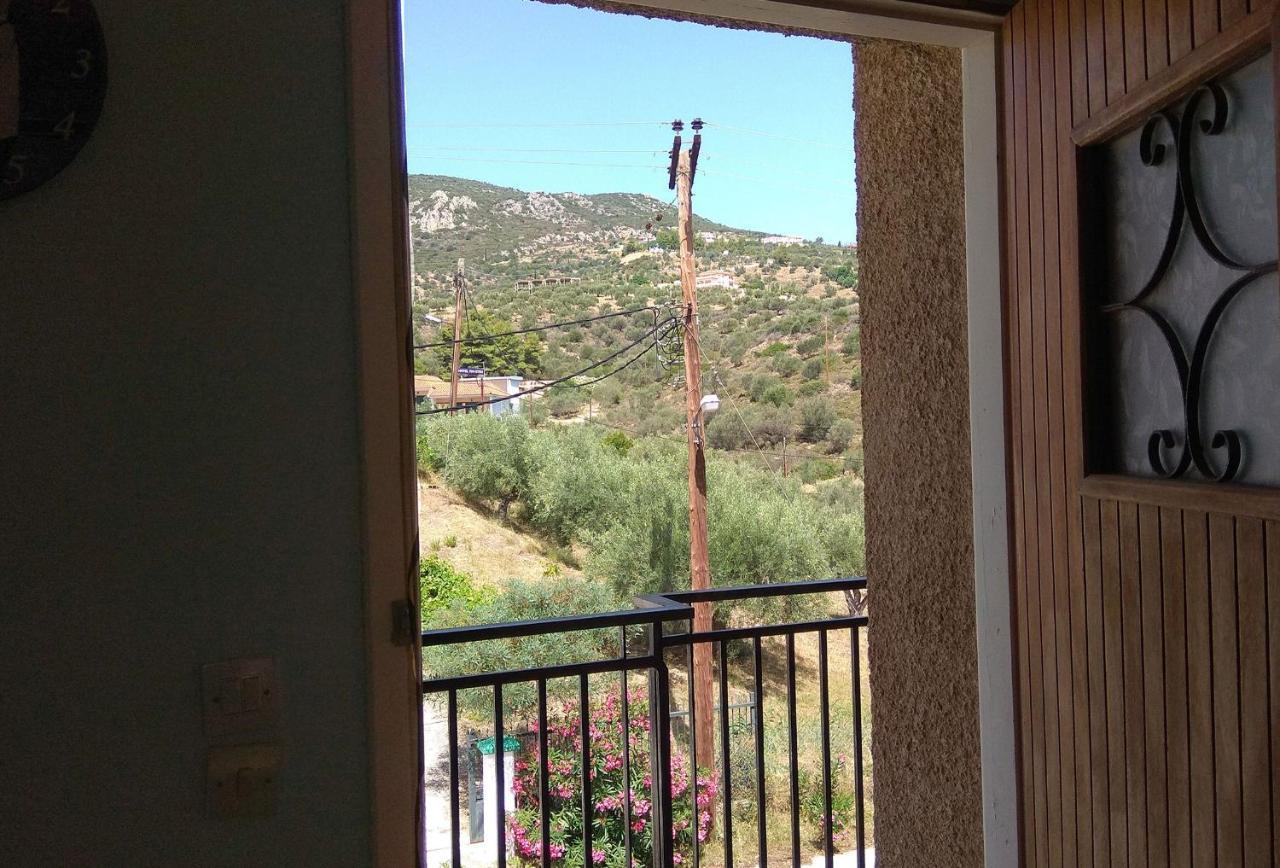 Blue Green Studio Apartment Tolo