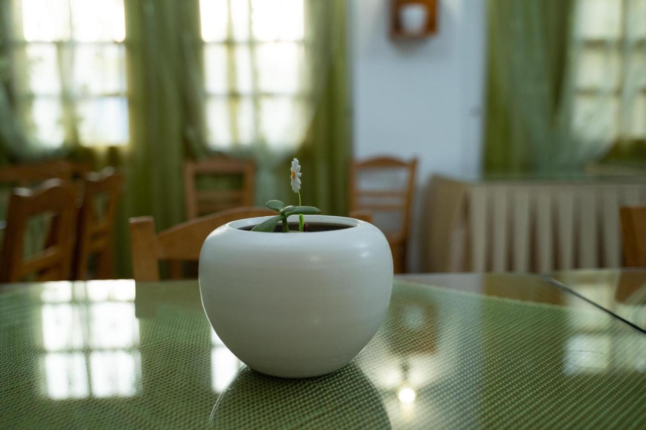 Bed & Breakfast Dimitris