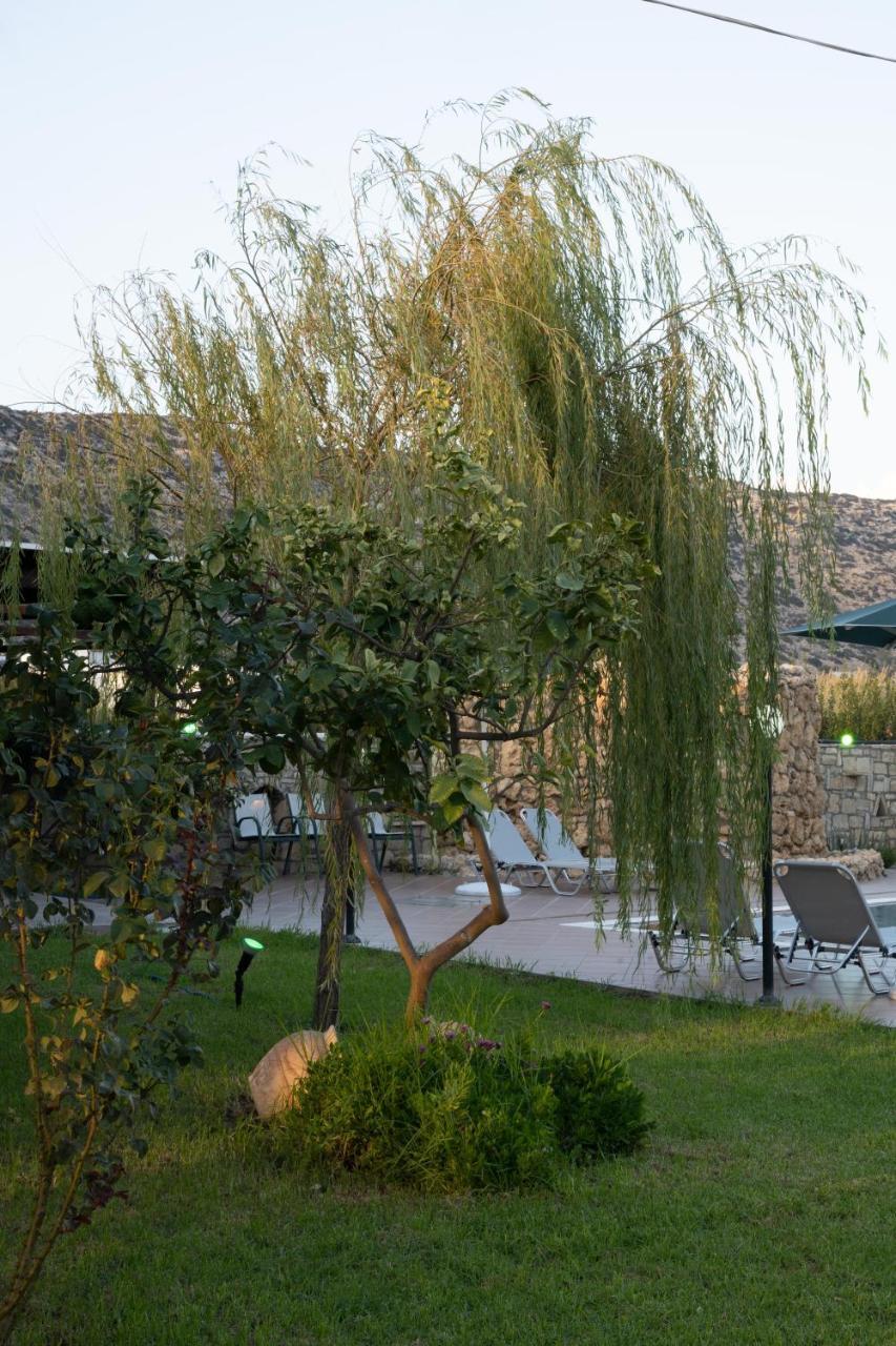 Dimitris Bed & Breakfast