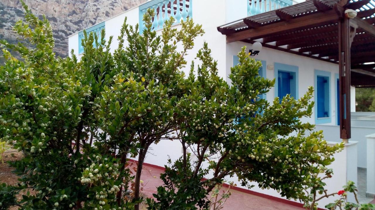 Blue Horizon Apartment Lefkos (Karpathos)