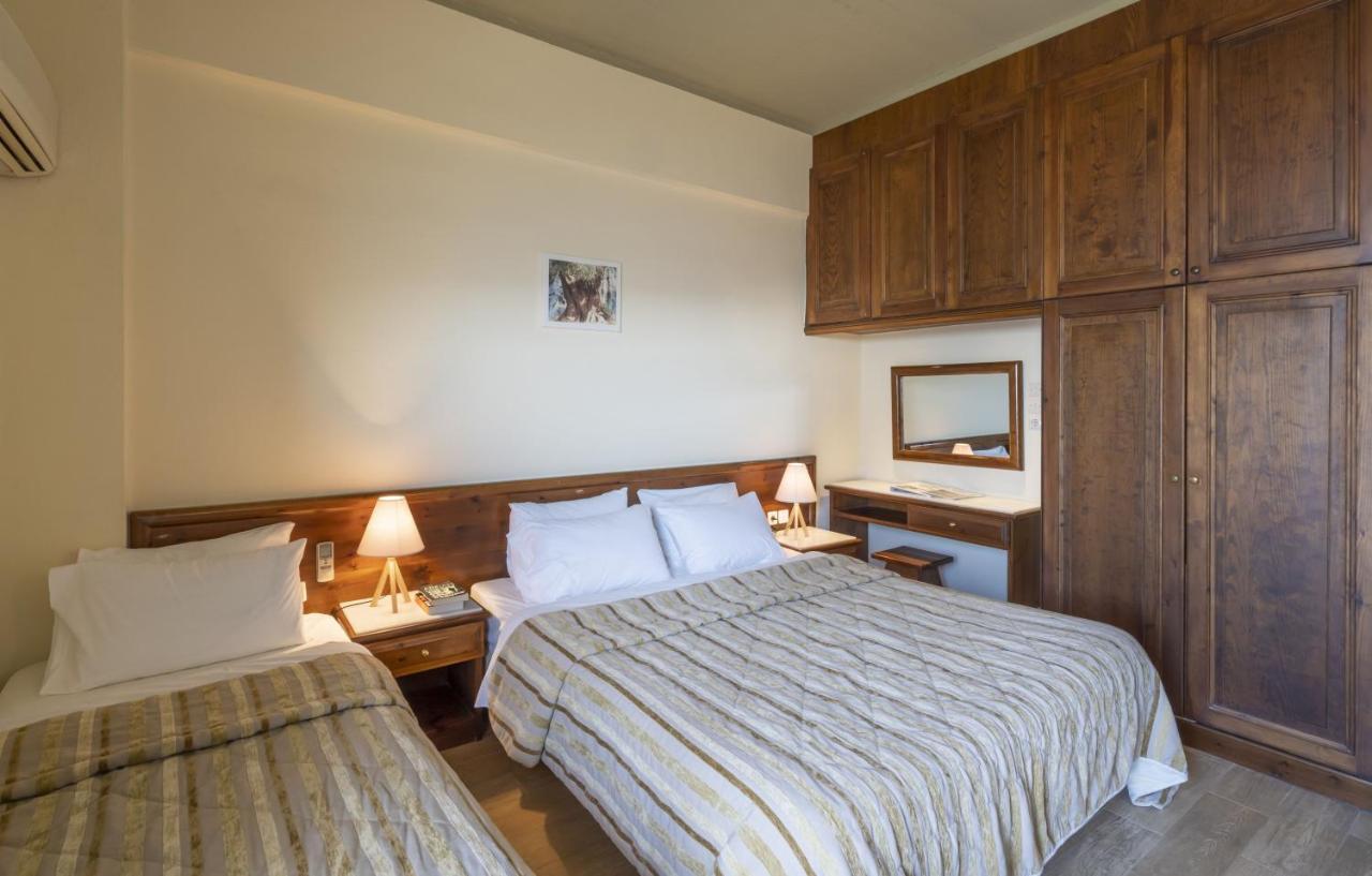Anemolia Mountain Hotel Arachova