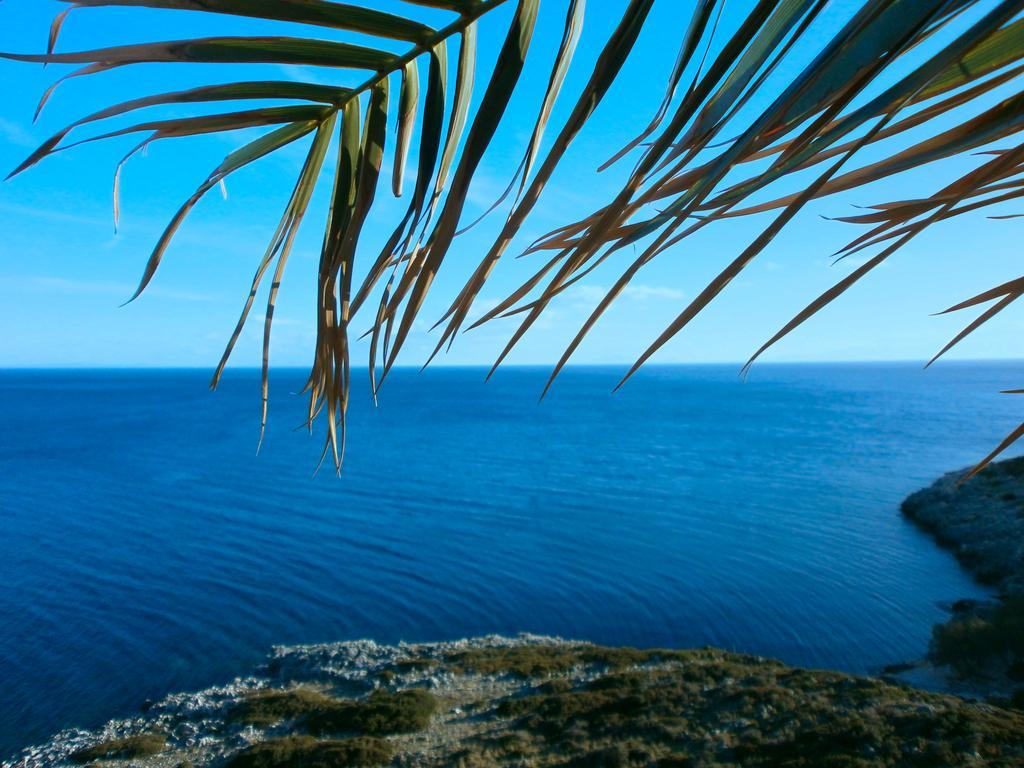 Agnantio Eleios-Pronnoi