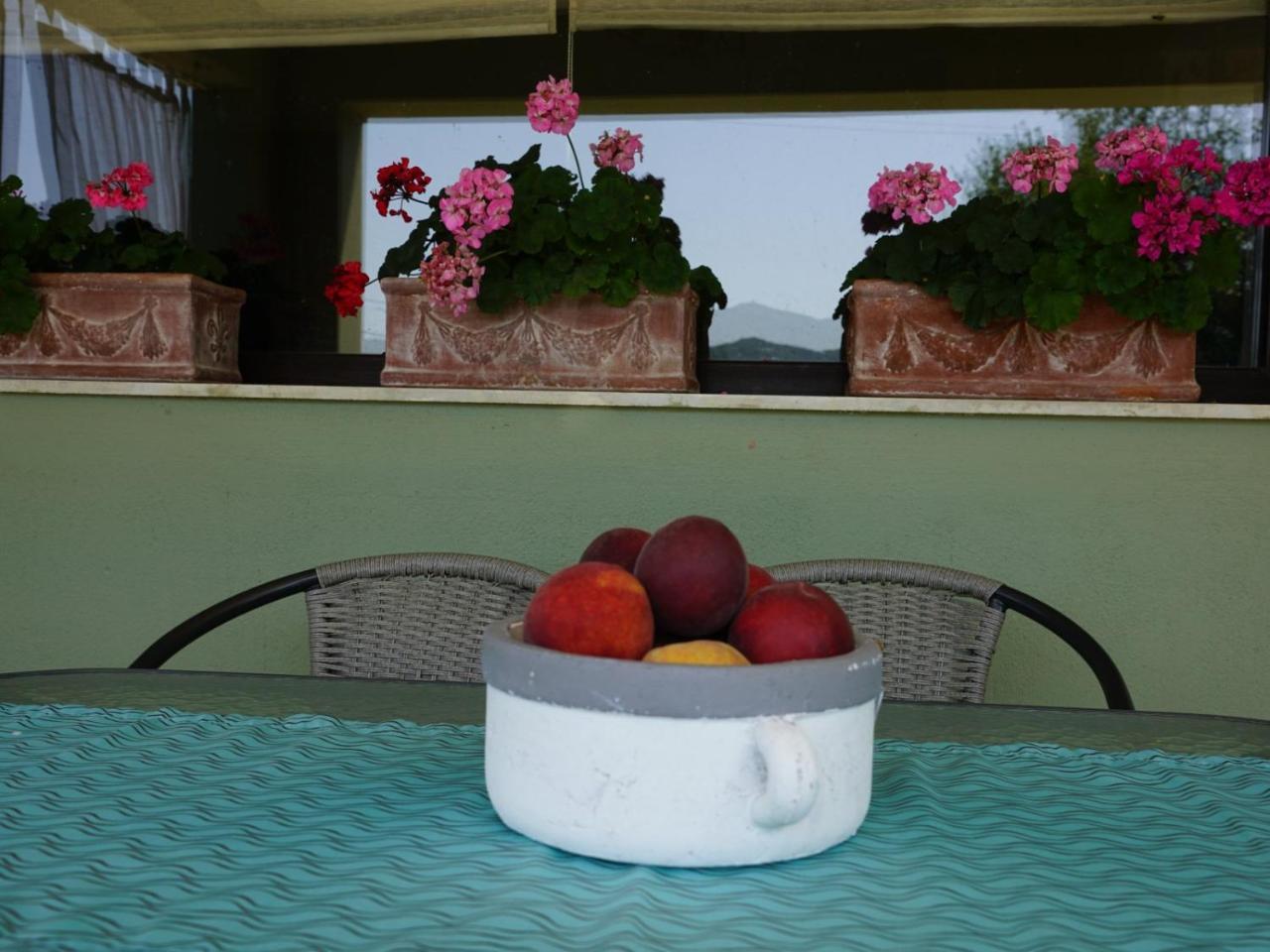 Thespis By Travelpro Services Halkidiki Villa Sykia Chalkidikis