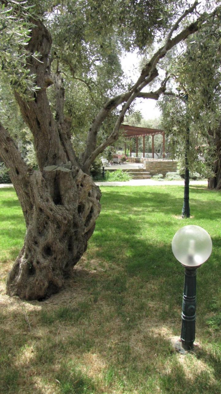 Country house Razi