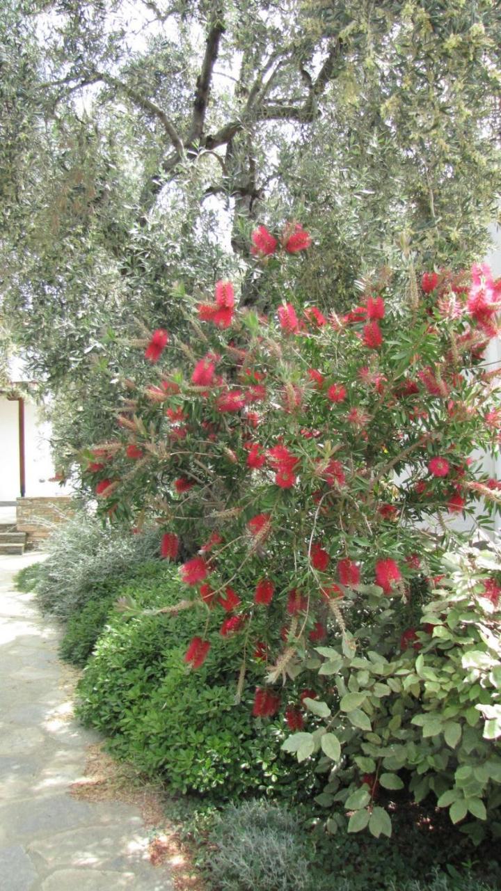 Country house Razi