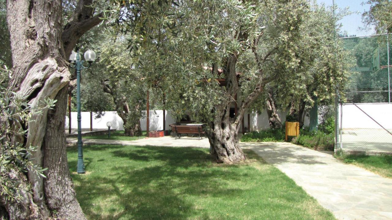 Razi * Lefokastro