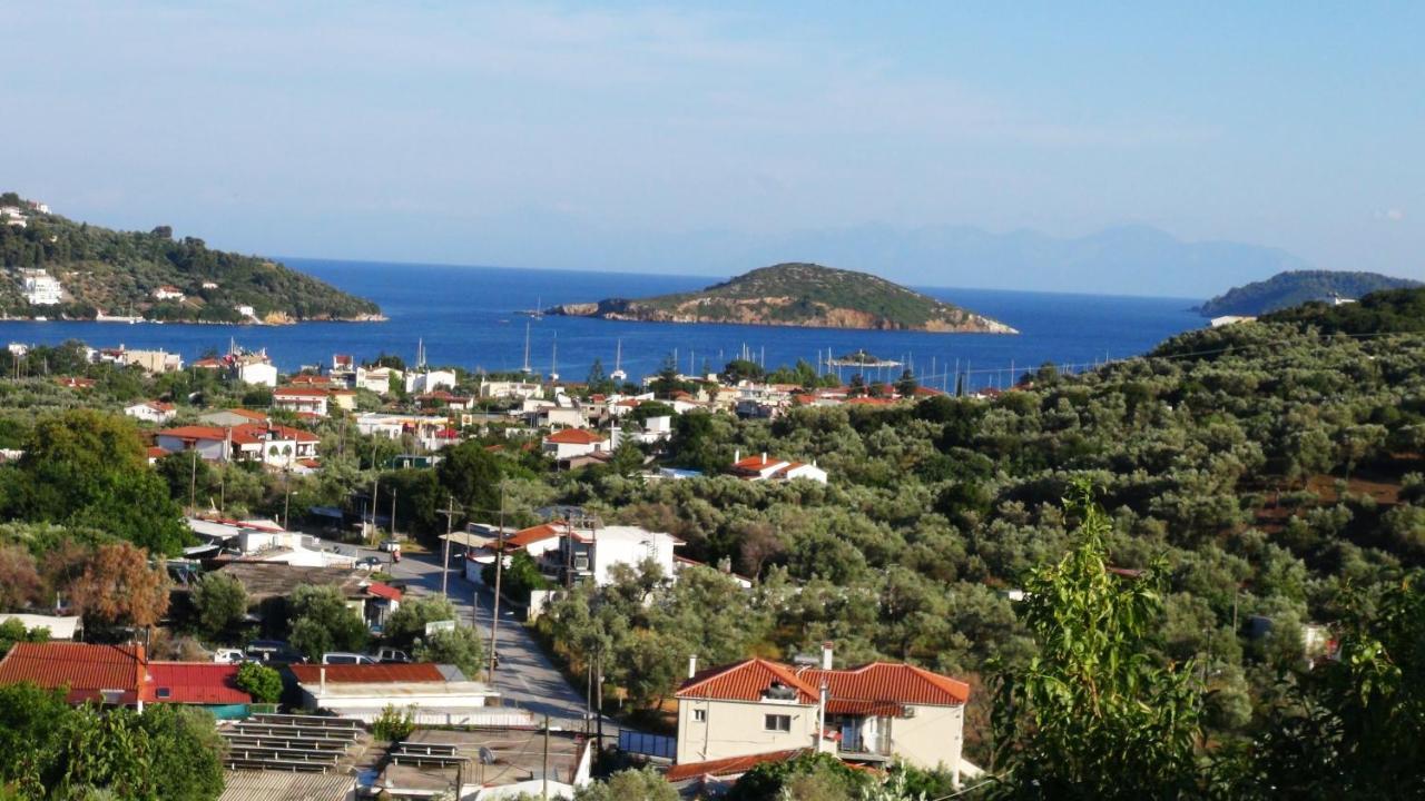 Camelia Apartment Skiathos Town