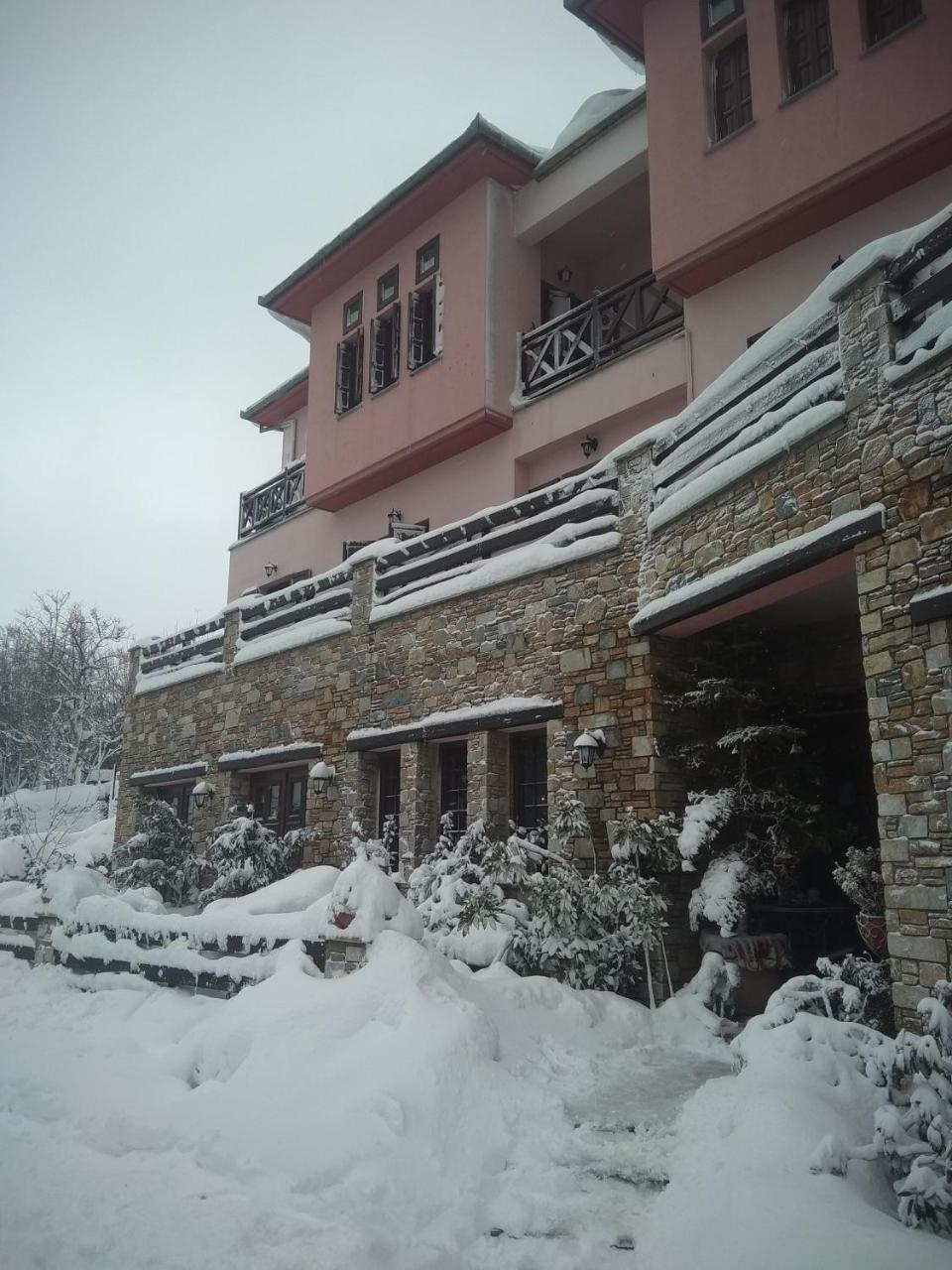 Guest house Iris 2*