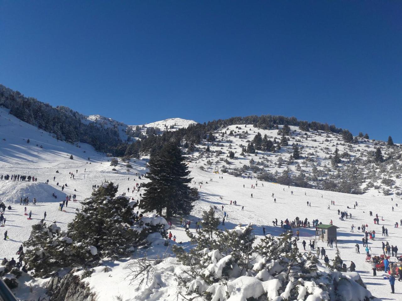 Xenonas Epavli Guest house Levidhion