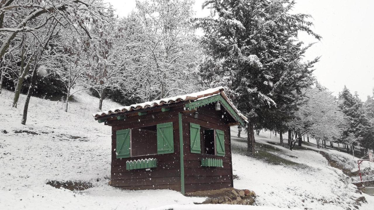 Traditional * Trikala (Thessaly)