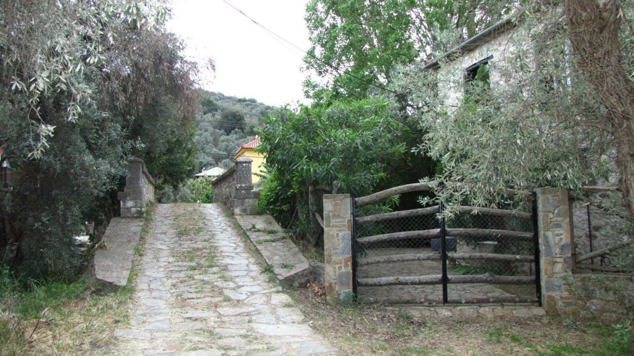 Country house Razi