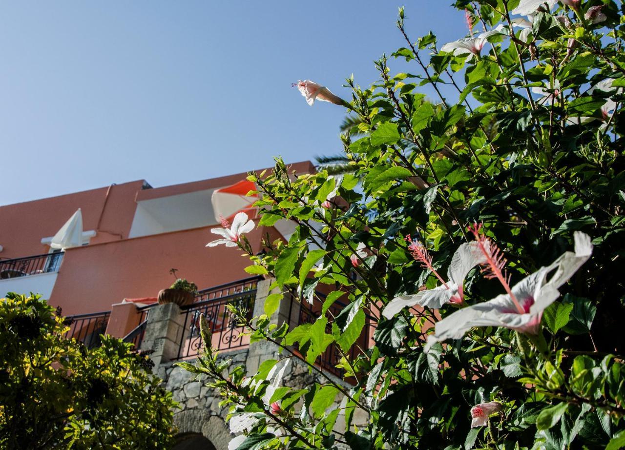 Aparthotel Alkion