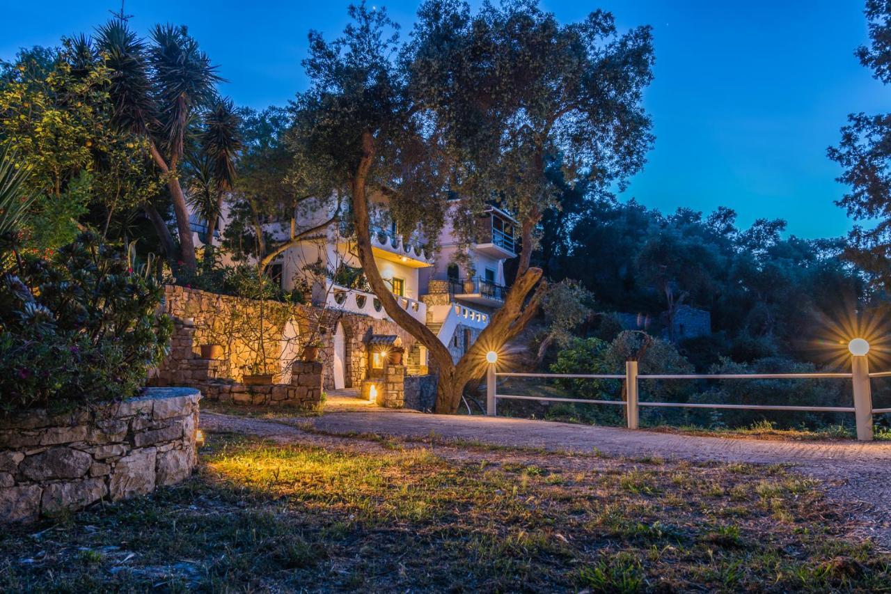 Olive * Lakka (Paxos)