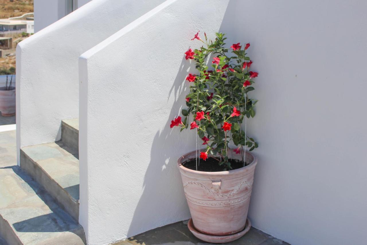 Crystal View Mykonos 2*