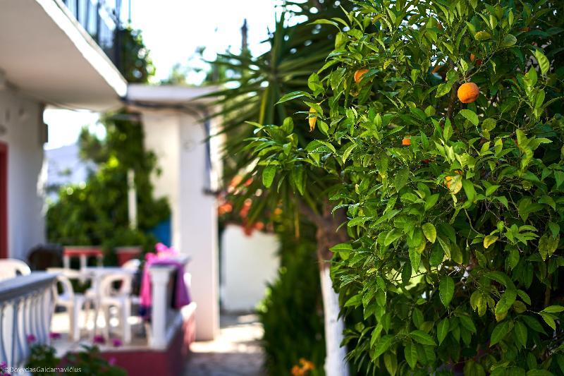 Fardini Seaside Guest house 2*