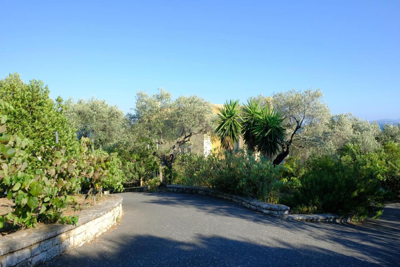 Villa Spyros *