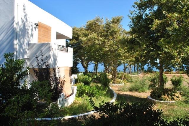 Archondissa 3* Therma (Samothraki)