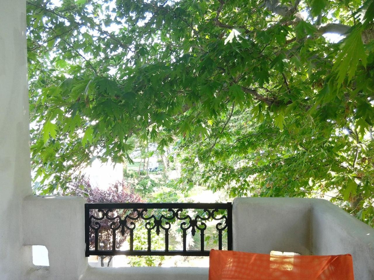 Archondissa