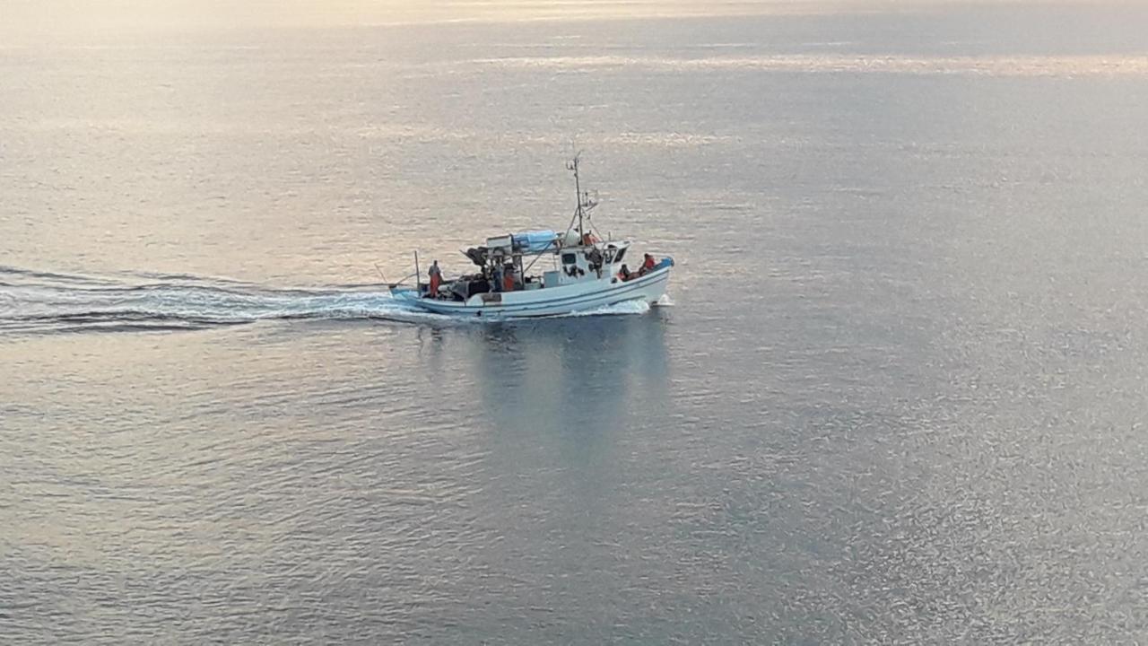 Anemelia * Vari (Syros)