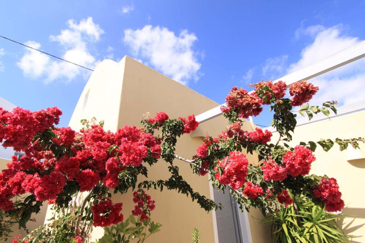 Ersi 3* Fira (Santorini)