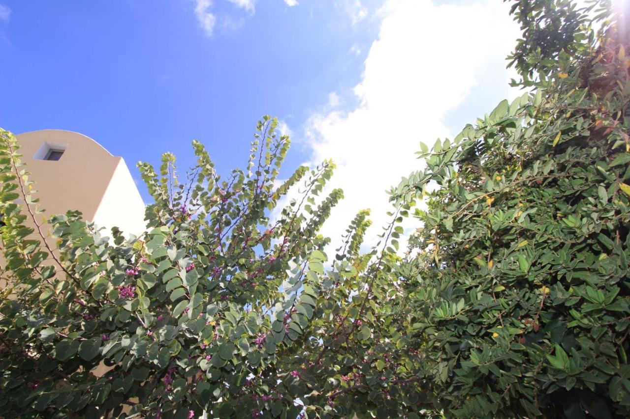 Aparthotel Ersi 3*