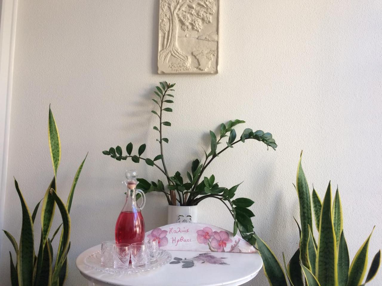 Isidora 2*