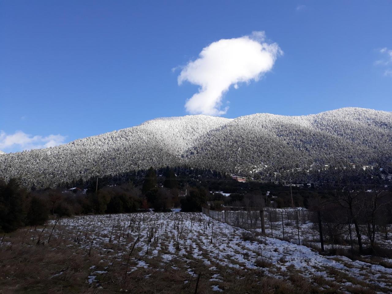 Archontiko Nikolopoulou Vytina