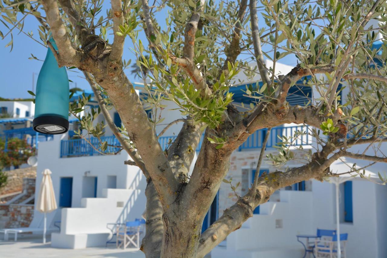 White Blue & *