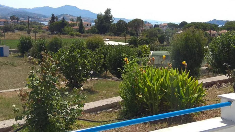 Kavaki Petra (Lesbos)