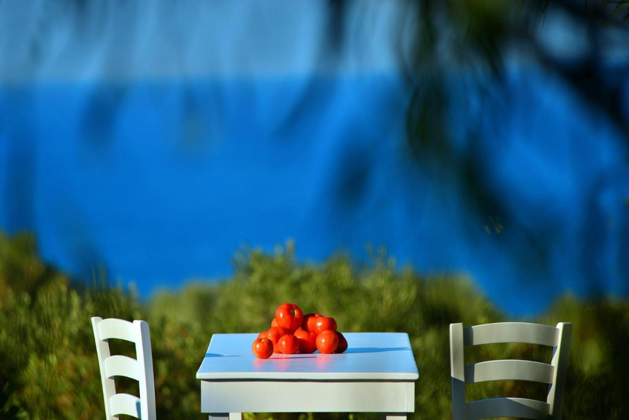 Villa Bohemian Blue *