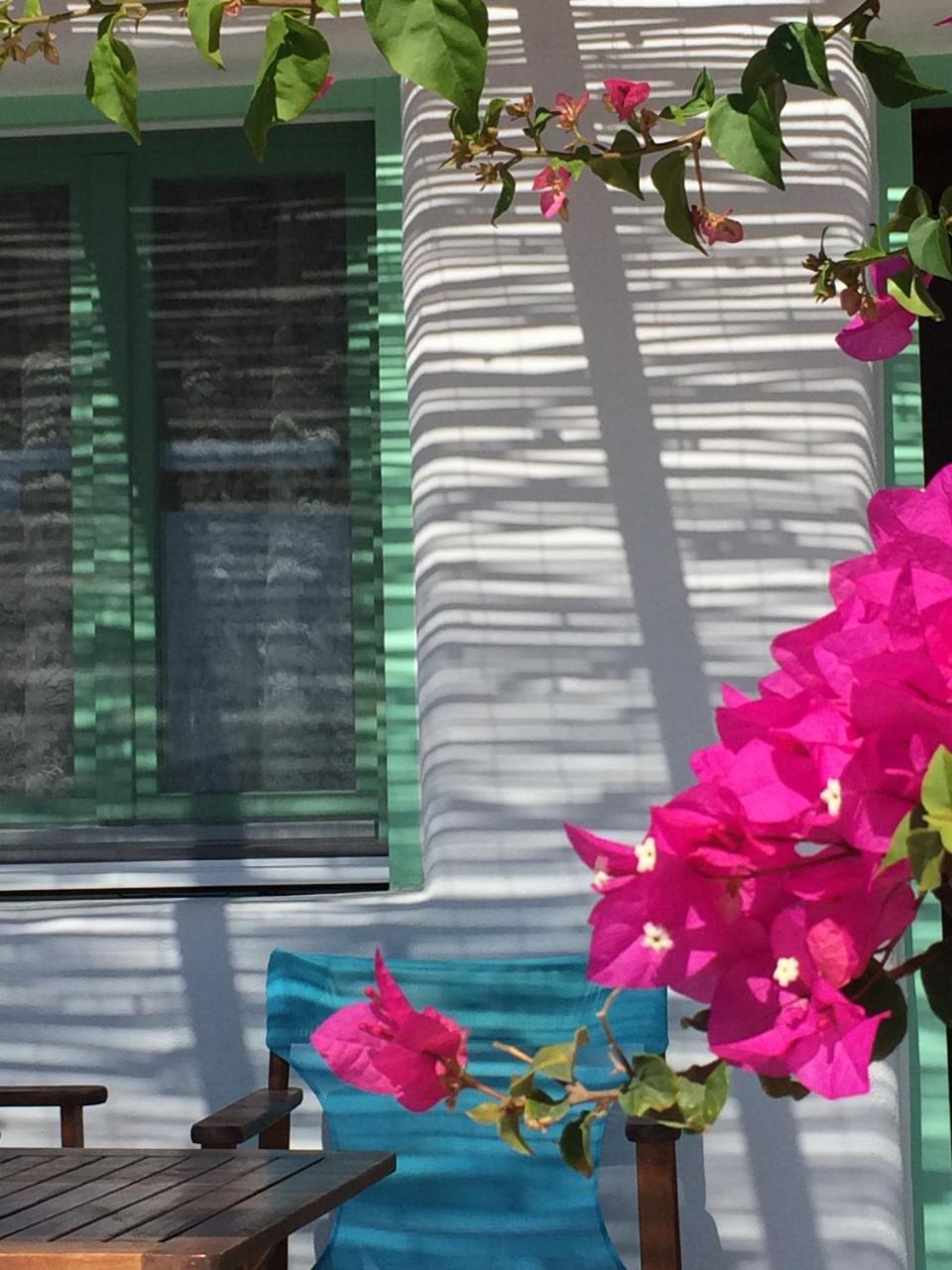 Apartment Apollon *