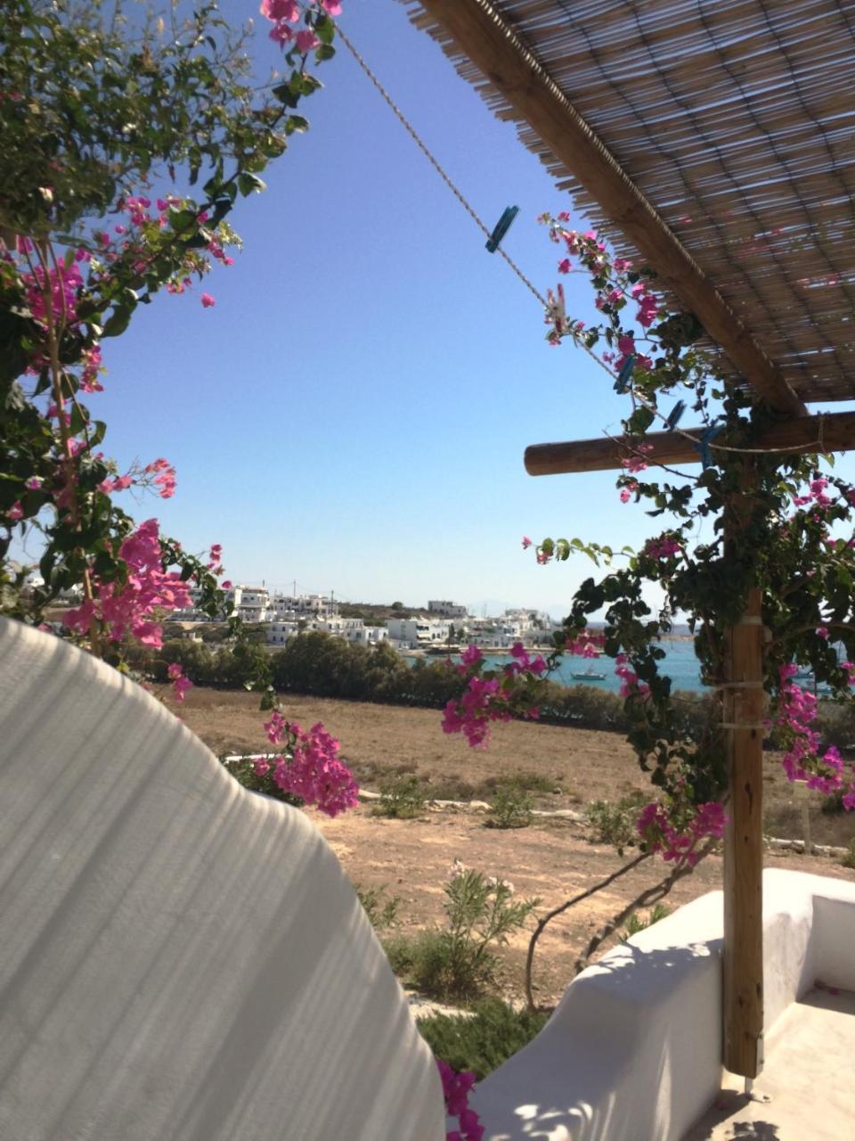 Apartment Apollon *