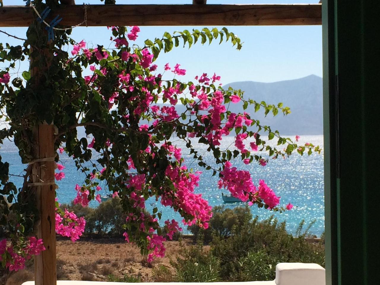 Apartment Apollon