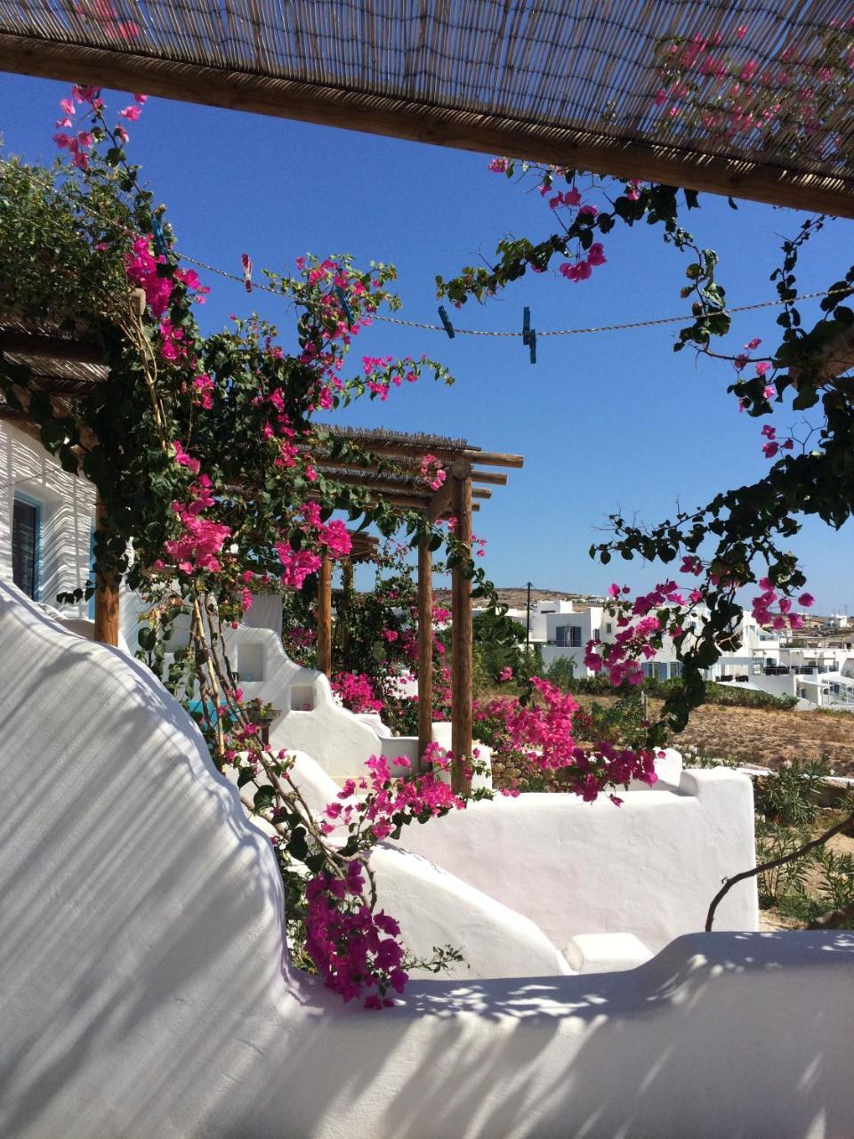 Apollon Koufonisia