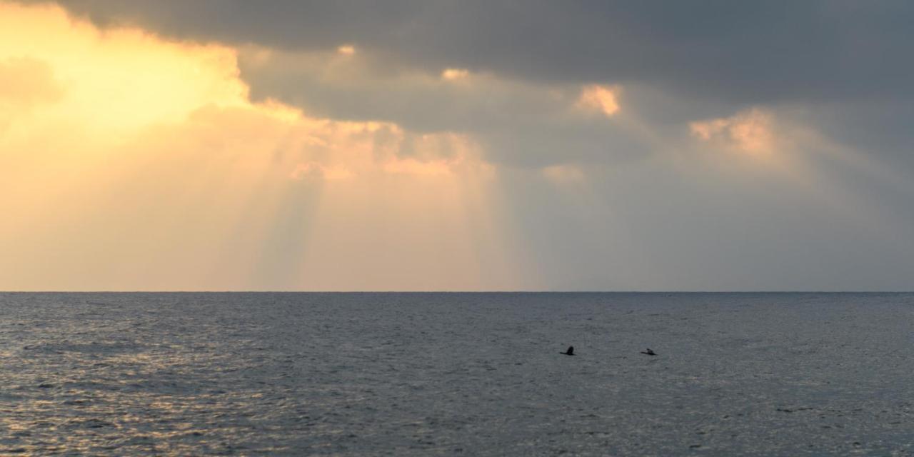 Ocean Bay