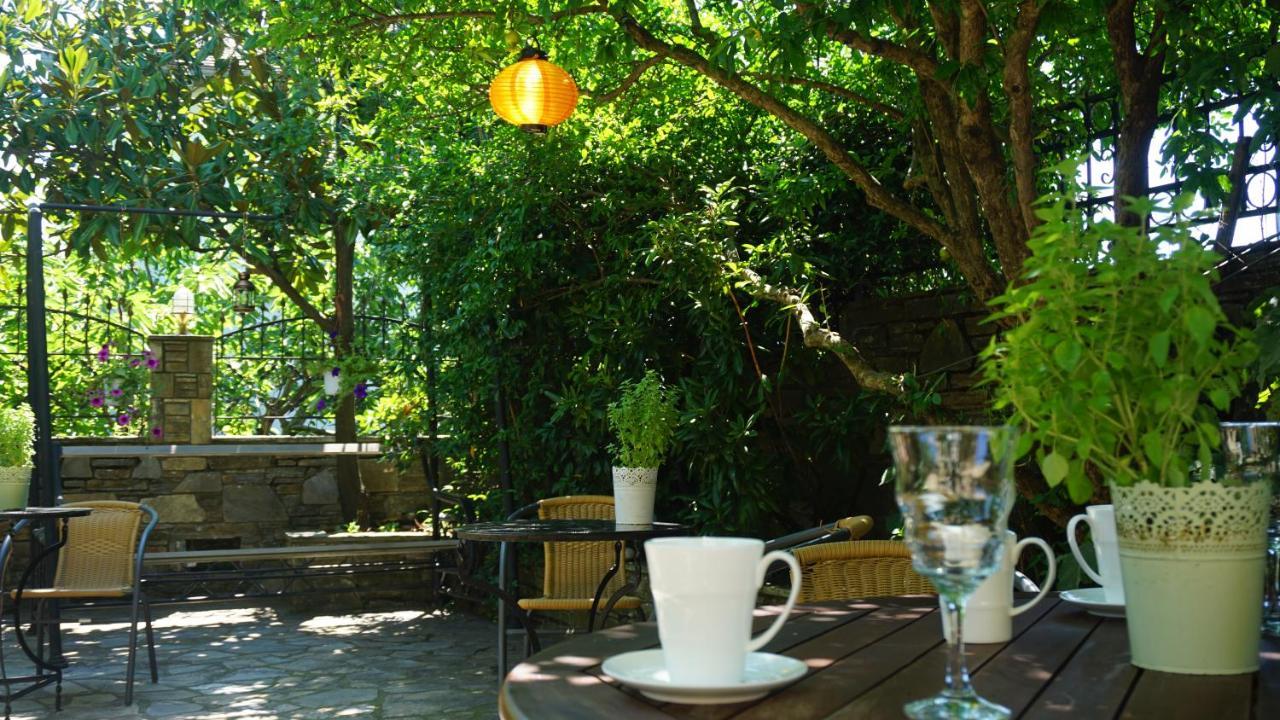 Muses Guest house