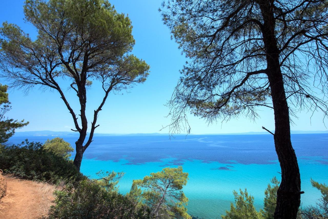 Hotel Elies 33 Bio Retreat (adults Only) Afytos