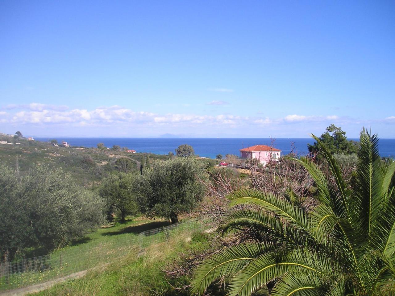 Nikolaos Skala Aparthotel Skala (Kefalonia)