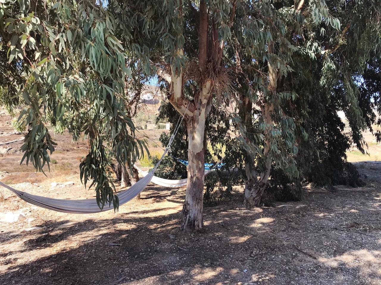 Arokaria Hideaway Aparthotel 2*