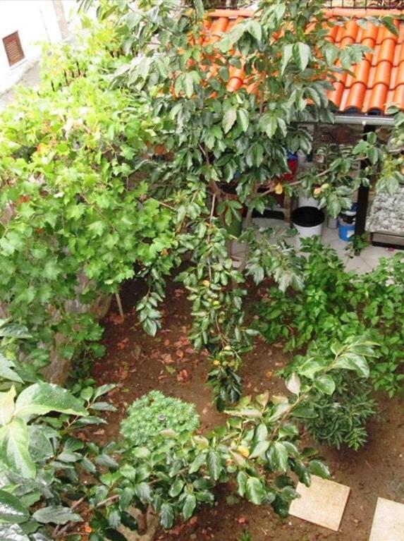 Apartment Kali Stalonia Nikiti (Sithonia)