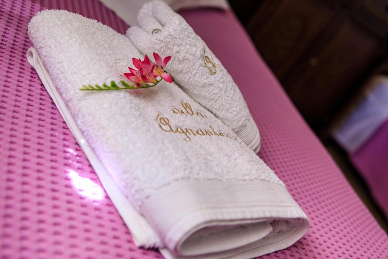 Agnantema Seaview Villa Agios Petros (Alonissos)