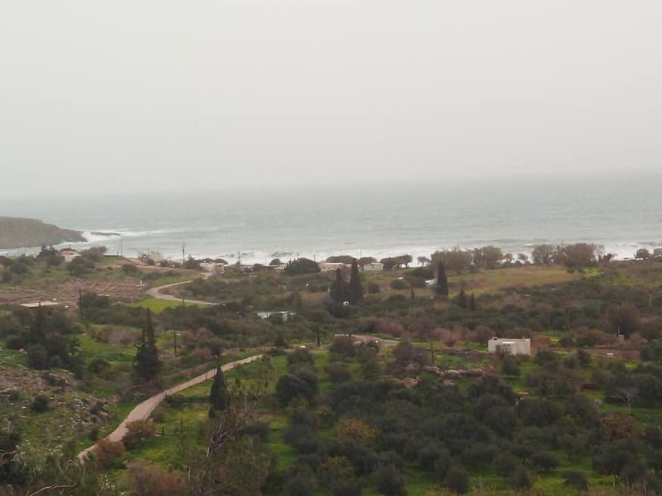 Apartment Alkioni Sea View *