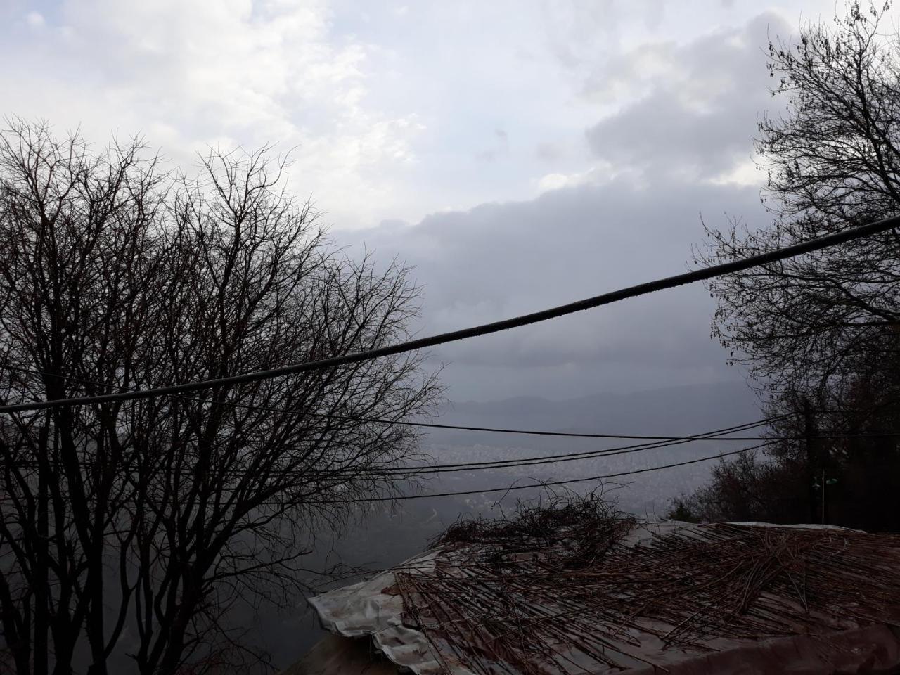 Guest house Mansion Theodora 3*