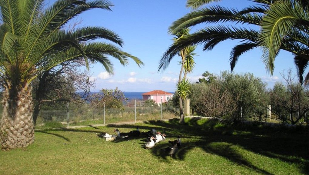 Pitas Kefalonia Island